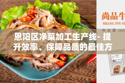 恩阳区净菜加工生产线- 提升效率、保障品质的最佳方案