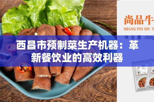 西昌市预制菜生产机器：革新餐饮业的高效利器
