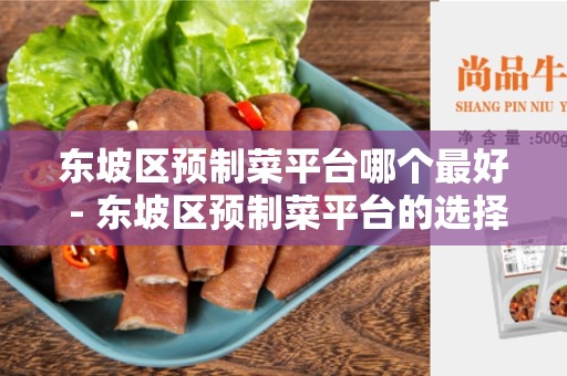 东坡区预制菜平台哪个最好 - 东坡区预制菜平台的选择