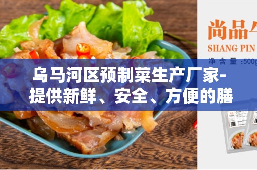乌马河区预制菜生产厂家- 提供新鲜、安全、方便的膳食选择