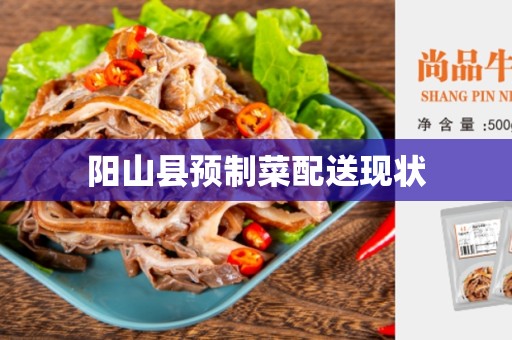 阳山县预制菜配送现状