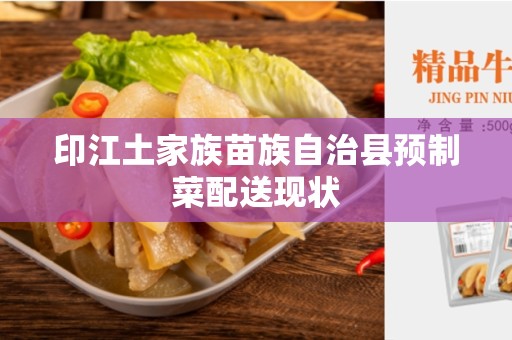 印江土家族苗族自治县预制菜配送现状