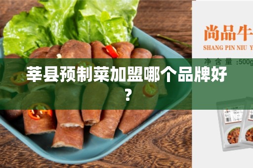 莘县预制菜加盟哪个品牌好？