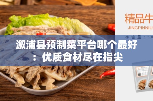 溆浦县预制菜平台哪个最好：优质食材尽在指尖