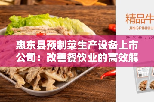 惠东县预制菜生产设备上市公司：改善餐饮业的高效解决方案