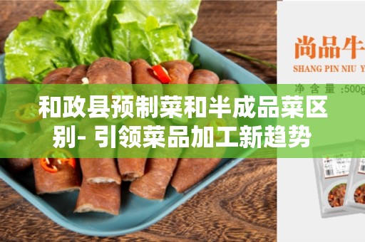 和政县预制菜和半成品菜区别- 引领菜品加工新趋势