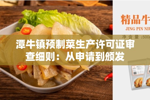 潭牛镇预制菜生产许可证审查细则：从申请到颁发
