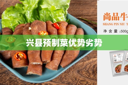 兴县预制菜优势劣势