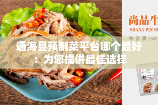 通海县预制菜平台哪个最好：为您提供最佳选择