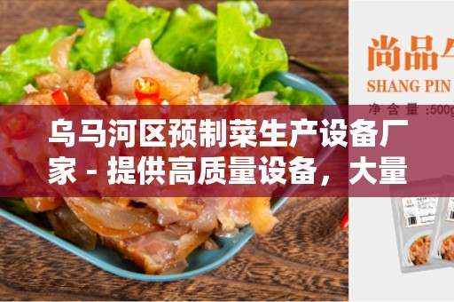 乌马河区预制菜生产设备厂家 - 提供高质量设备，大量生产厨房食品