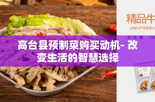 高台县预制菜购买动机- 改变生活的智慧选择