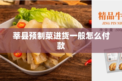 莘县预制菜进货一般怎么付款