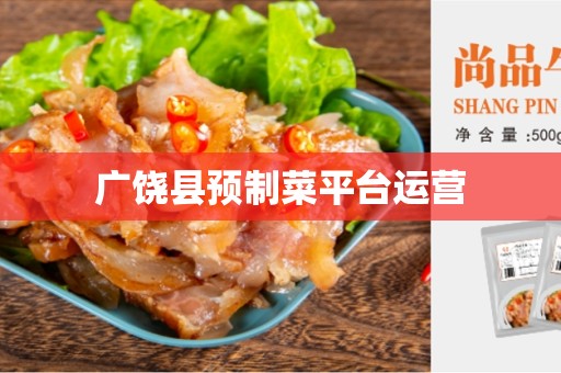 广饶县预制菜平台运营