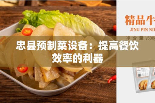 忠县预制菜设备：提高餐饮效率的利器