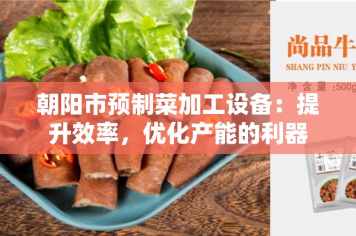 朝阳市预制菜加工设备：提升效率，优化产能的利器