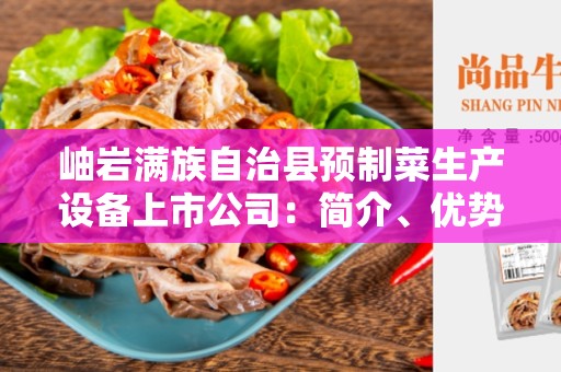 岫岩满族自治县预制菜生产设备上市公司：简介、优势和市场前景