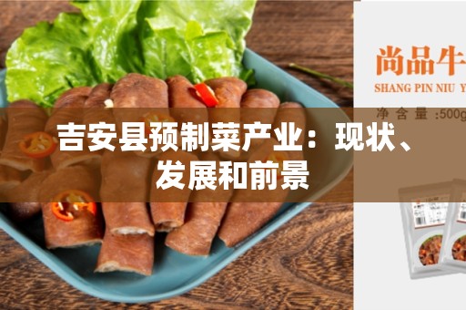 吉安县预制菜产业：现状、发展和前景