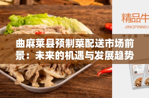 曲麻莱县预制菜配送市场前景：未来的机遇与发展趋势