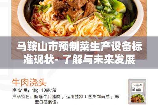 马鞍山市预制菜生产设备标准现状- 了解与未来发展