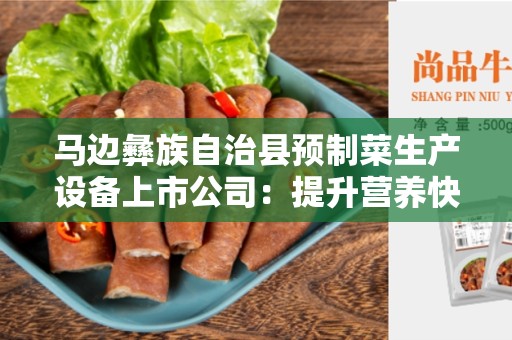 马边彝族自治县预制菜生产设备上市公司：提升营养快餐产业发展的关键