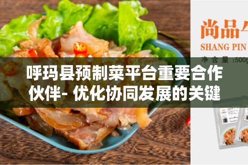呼玛县预制菜平台重要合作伙伴- 优化协同发展的关键