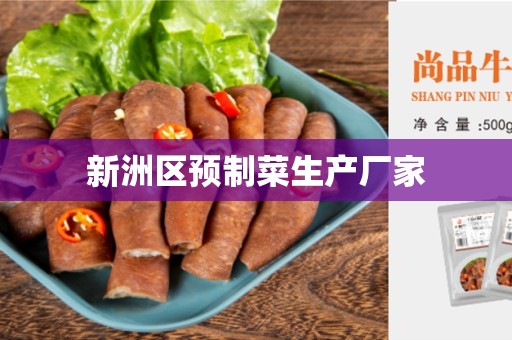 新洲区预制菜生产厂家