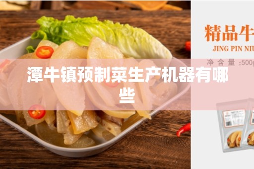 潭牛镇预制菜生产机器有哪些