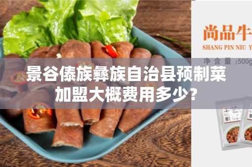 景谷傣族彝族自治县预制菜加盟大概费用多少？