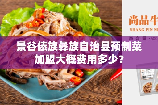 景谷傣族彝族自治县预制菜加盟大概费用多少？