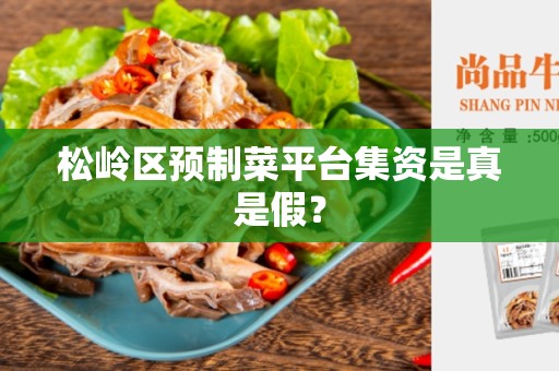 松岭区预制菜平台集资是真是假？