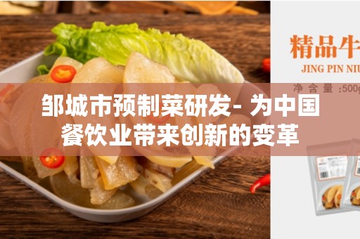 邹城市预制菜研发- 为中国餐饮业带来创新的变革