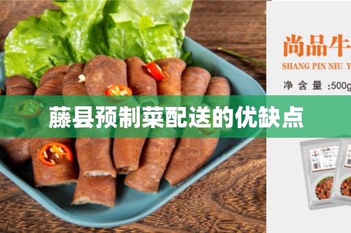 藤县预制菜配送的优缺点