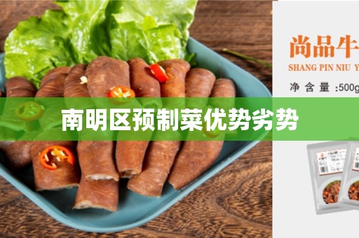 南明区预制菜优势劣势