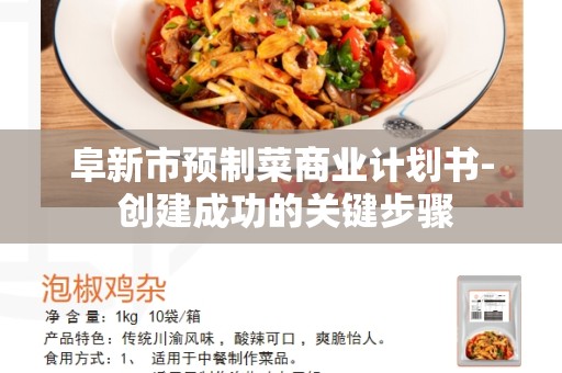 阜新市预制菜商业计划书- 创建成功的关键步骤