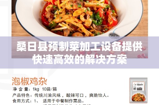 桑日县预制菜加工设备提供快速高效的解决方案