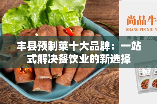 丰县预制菜十大品牌：一站式解决餐饮业的新选择