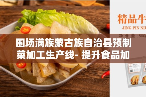 围场满族蒙古族自治县预制菜加工生产线- 提升食品加工效率与质量的利器