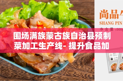 围场满族蒙古族自治县预制菜加工生产线- 提升食品加工效率与质量的利器