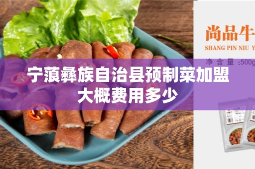 宁蒗彝族自治县预制菜加盟大概费用多少