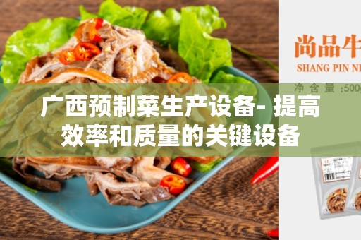 广西预制菜生产设备- 提高效率和质量的关键设备