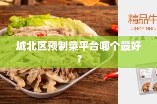 城北区预制菜平台哪个最好？