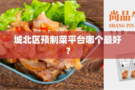 城北区预制菜平台哪个最好？