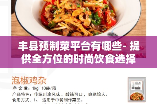 丰县预制菜平台有哪些- 提供全方位的时尚饮食选择