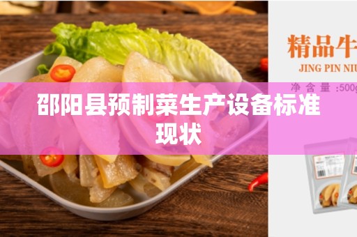邵阳县预制菜生产设备标准现状
