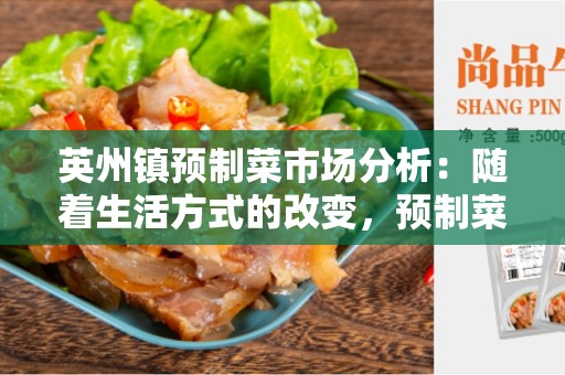 英州镇预制菜市场分析：随着生活方式的改变，预制菜市场的潜力日益增长