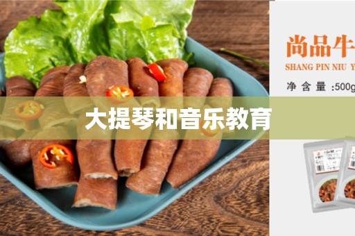 大提琴和音乐教育