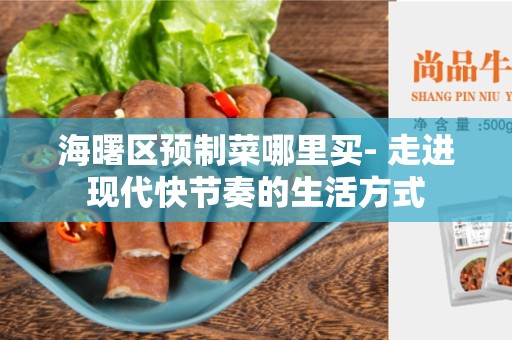 海曙区预制菜哪里买- 走进现代快节奏的生活方式