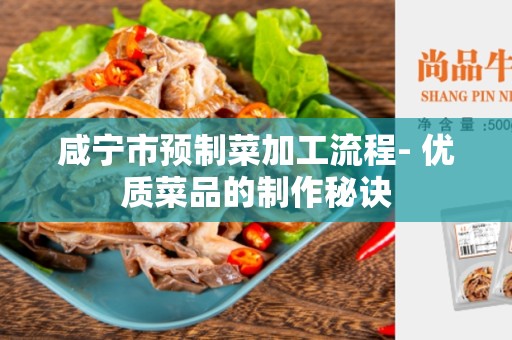 咸宁市预制菜加工流程- 优质菜品的制作秘诀
