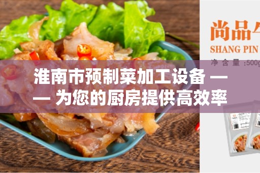 淮南市预制菜加工设备 —— 为您的厨房提供高效率解决方案