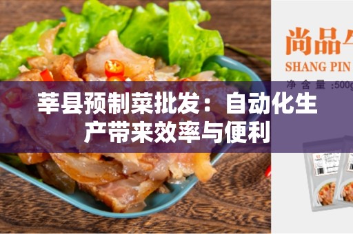 莘县预制菜批发：自动化生产带来效率与便利